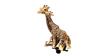 girafe_5_2053068650