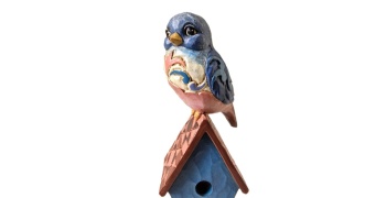 oiseau_bleu_jymshore