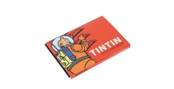 set-cartes-postale-lune-31309-moulinsart