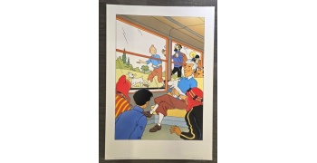 tintin_poster_hommage_herge_bobdemoor