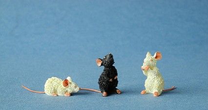 Les 3 souris