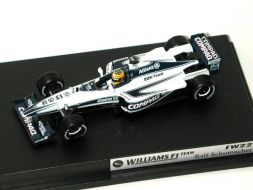 Williams F1 Ralf Schumacher
